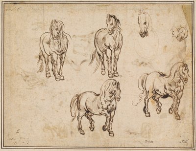 Studi di Cavalli [recto] da Jacques Callot after Antonio Tempesta