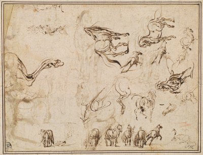 Studi di cavalli (verso) da Jacques Callot after Antonio Tempesta