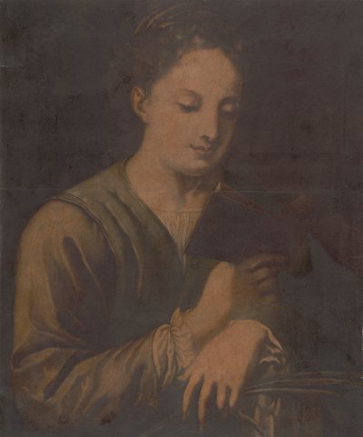 Santa Caterina che legge da Jacques Christophe Le Blon