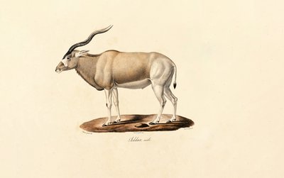  da Jacques Christophe Werner