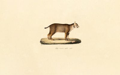  da Jacques Christophe Werner