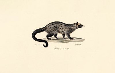  da Jacques Christophe Werner