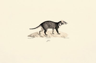  da Jacques Christophe Werner