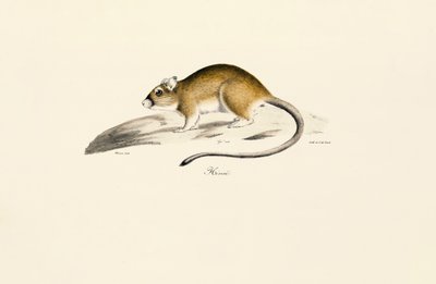  da Jacques Christophe Werner