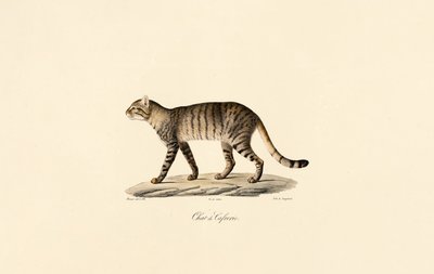  da Jacques Christophe Werner