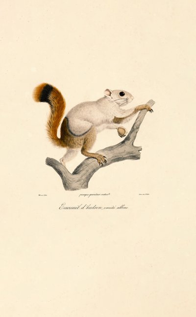  da Jacques Christophe Werner