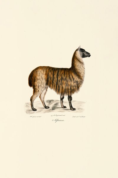  da Jacques Christophe Werner