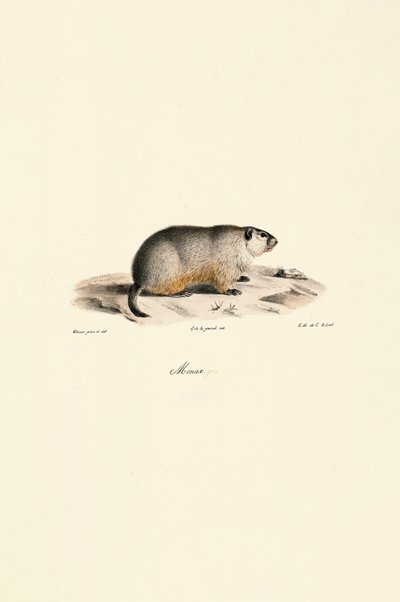  da Jacques Christophe Werner
