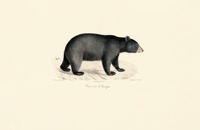  da Jacques Christophe Werner