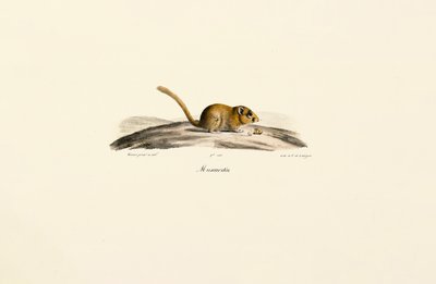  da Jacques Christophe Werner