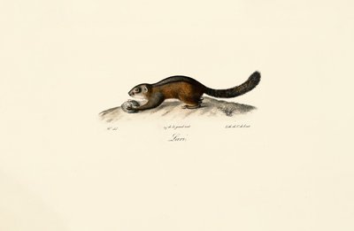  da Jacques Christophe Werner