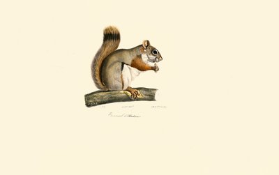  da Jacques Christophe Werner