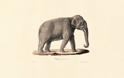  da Jacques Christophe Werner