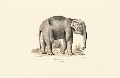  da Jacques Christophe Werner