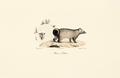  da Jacques Christophe Werner