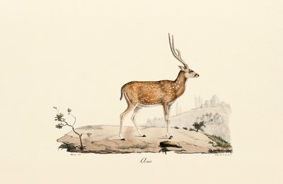  da Jacques Christophe Werner