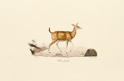  da Jacques Christophe Werner