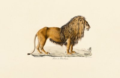  da Jacques Christophe Werner