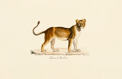  da Jacques Christophe Werner