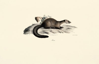  da Jacques Christophe Werner