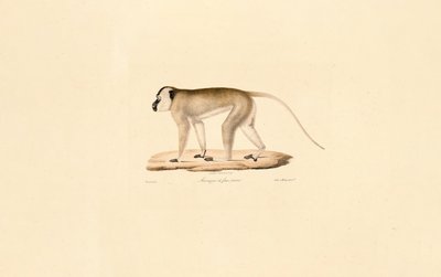  da Jacques Christophe Werner