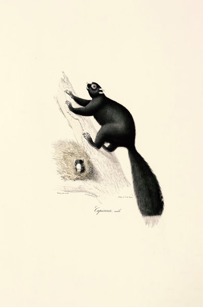  da Jacques Christophe Werner