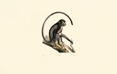  da Jacques Christophe Werner
