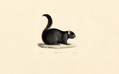  da Jacques Christophe Werner