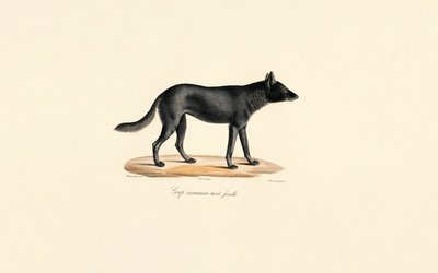  da Jacques Christophe Werner