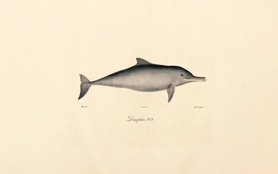  da Jacques Christophe Werner
