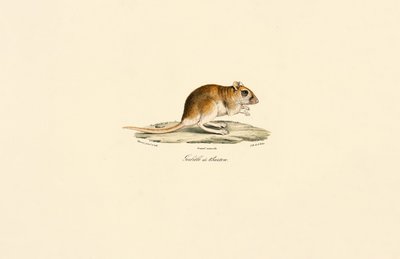  da Jacques Christophe Werner