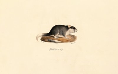  da Jacques Christophe Werner