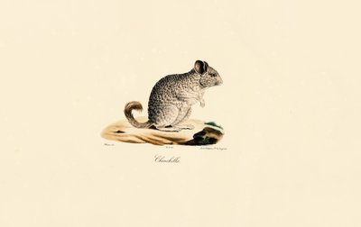  da Jacques Christophe Werner