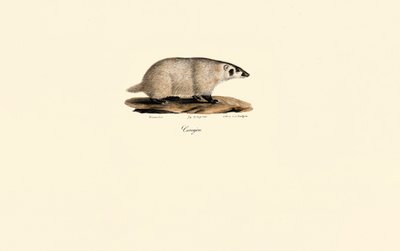  da Jacques Christophe Werner