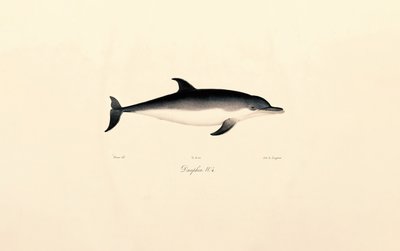  da Jacques Christophe Werner