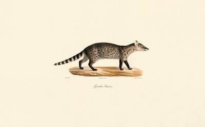  da Jacques Christophe Werner