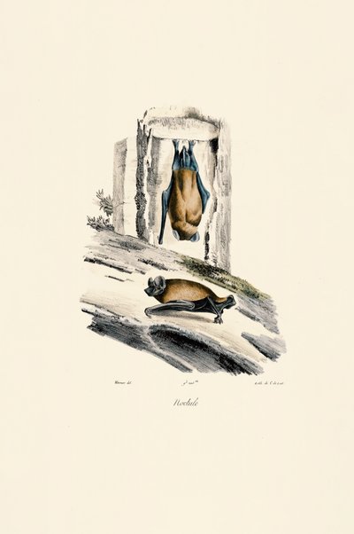  da Jacques Christophe Werner