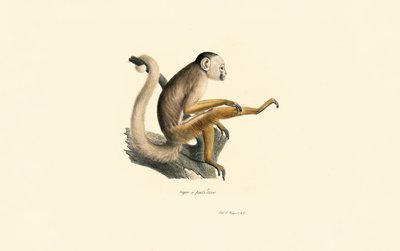  da Jacques Christophe Werner