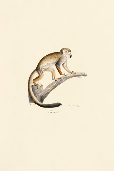  da Jacques Christophe Werner