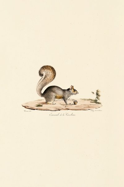  da Jacques Christophe Werner