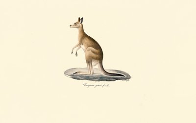  da Jacques Christophe Werner