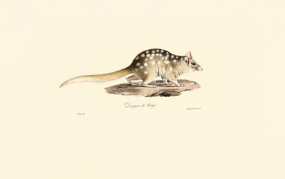  da Jacques Christophe Werner