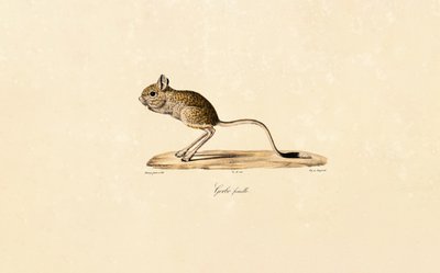  da Jacques Christophe Werner