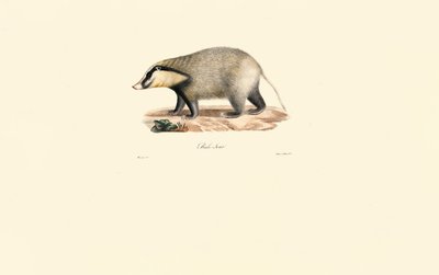  da Jacques Christophe Werner