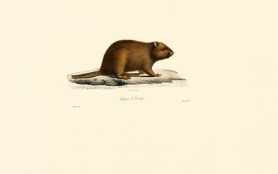  da Jacques Christophe Werner