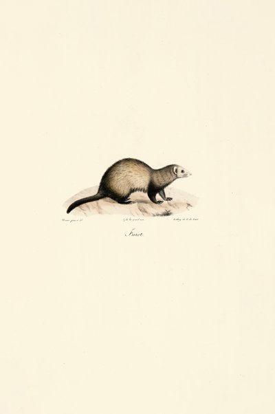  da Jacques Christophe Werner