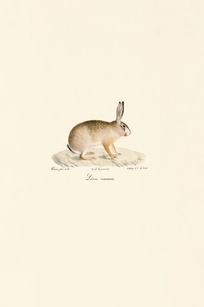  da Jacques Christophe Werner