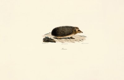  da Jacques Christophe Werner