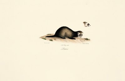  da Jacques Christophe Werner