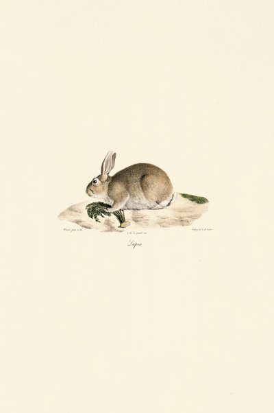  da Jacques Christophe Werner